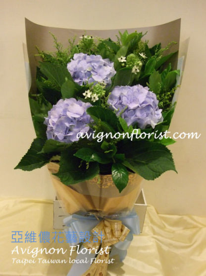 Bouquet of Hydrangea