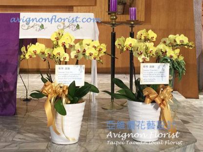Funeral Flowers Taipei