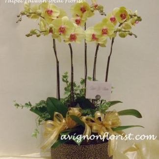 Yellow orchid Funeral flowers Taiwan