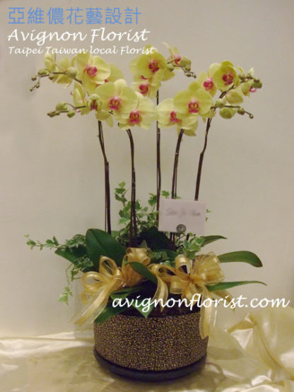 Yellow orchid Funeral flowers Taiwan
