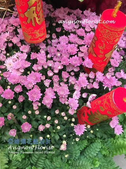Pink Chrysanthemums |Avignon Florist, Taipei Taiwan