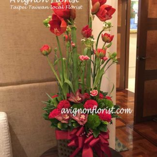 Amaryllis arrangement| Taipei