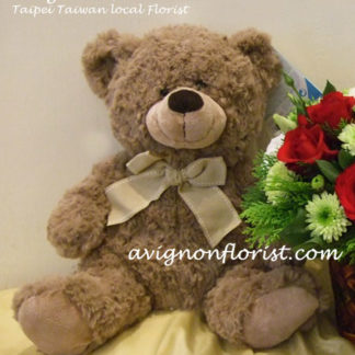 Teddy Bear 30-35 cm