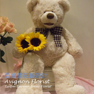 Teddy Bear 55 - 60 cm