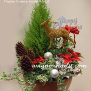 Christmas Flower arrangement Taipei, Taiwan