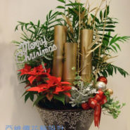 Peace arrangement Avignon Florist, delivery in Taipei Taiwan