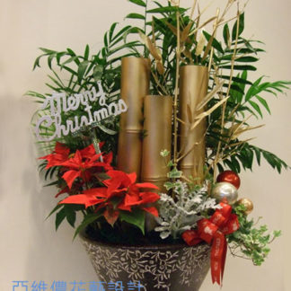 Peace arrangement Avignon Florist, delivery in Taipei Taiwan