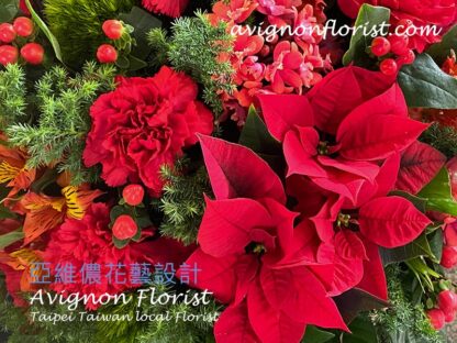 Poinsettias and Carnations | Taiwan