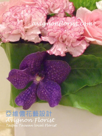 Closeup of flower| Taiwan